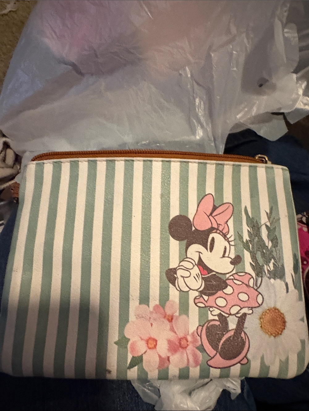 Disney Minnie Mouse Pink & Mint Stripe Cosmetic Pouch